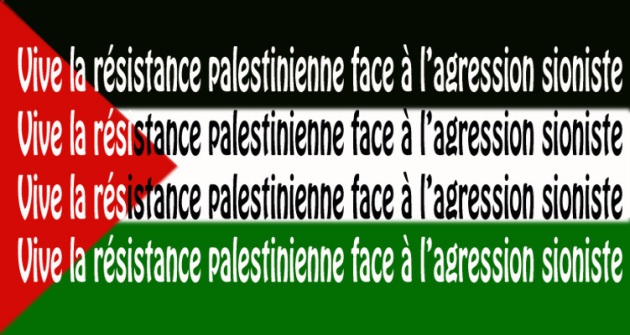Image result for vive la palestine